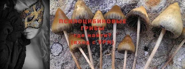 гашик Пестово