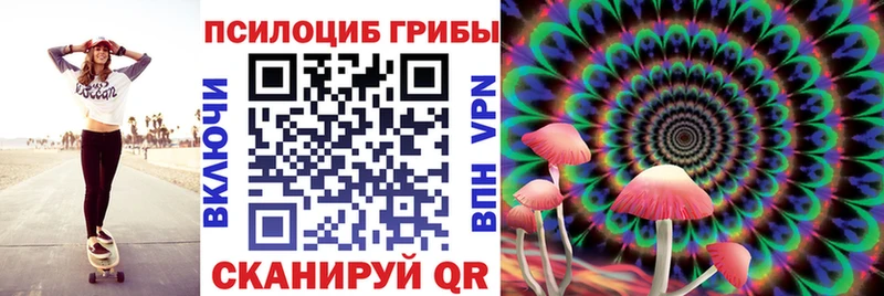 Псилоцибиновые грибы GOLDEN TEACHER  Пыталово 
