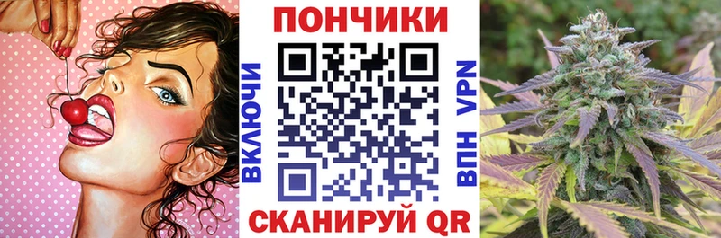 купить наркоту  Пыталово  МАРИХУАНА гибрид 